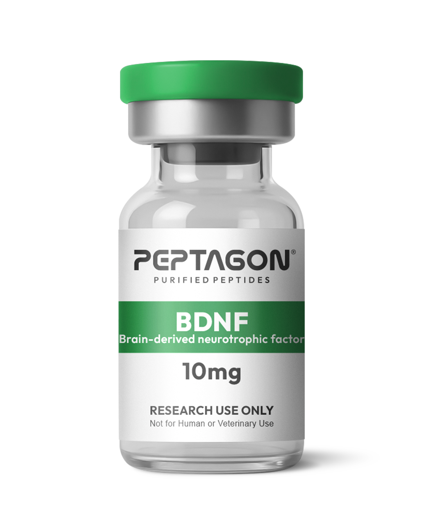 Peptagon BDNF Brain-derived neurotrophic factor 10mg vial